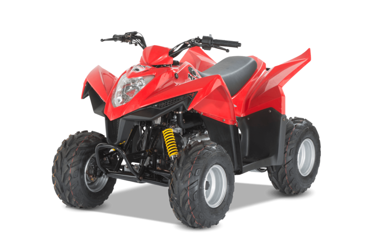 50ccm Quad - KYMCO MAXXER 50 Kinderquad